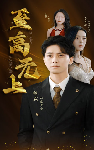 至高无上（30集）热门火爆短剧