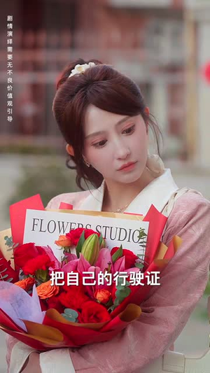 租个钻石男友回家过年（65集）大结局