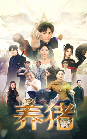 养猪（74集）全集免费看短剧