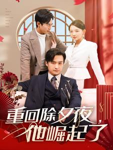 重回除夕夜他崛起了（89集）短剧全集大结局