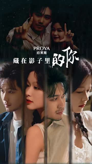 藏在影子里的你大结局