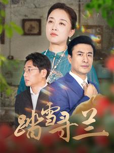 踏雪寻兰（94集）热播短剧追不停