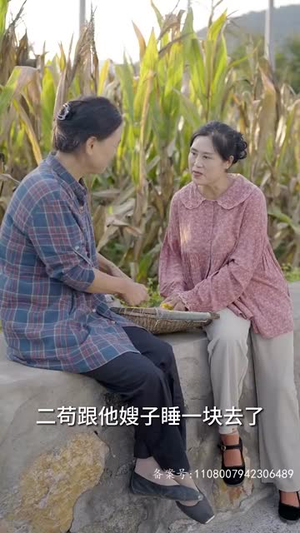 乡间幸福往事（80集）全剧免费观看