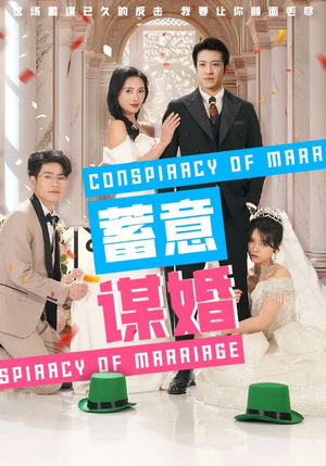 蓄意谋婚（30集）排行榜前十短剧