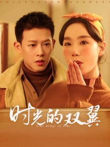 时光的双翼（94集）一起追短剧吧