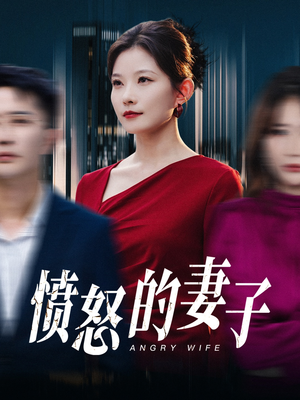 愤怒的妻子（30集）男主角是谁