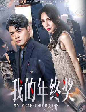 我的年终奖（30集） 全剧看到大结局