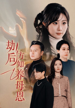 劫后方知养母恩（45集） 短剧排行榜