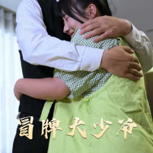 冒牌大少爷（81集） 西瓜短剧免费看