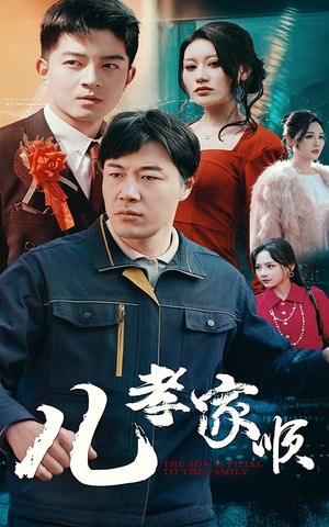 儿孝家顺（78集） 好看短剧分享