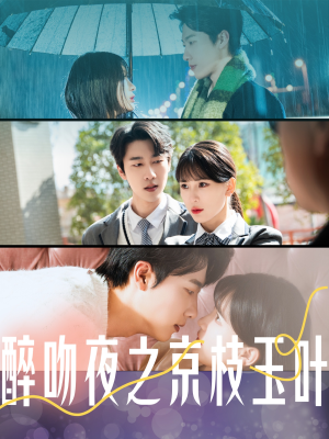 醉吻夜之京枝玉叶（90集） 常回家看看短剧