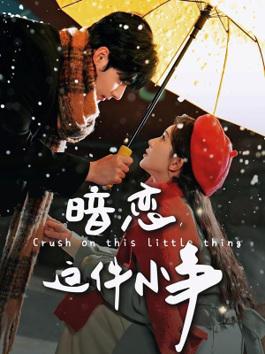 暗恋这件小事（100集） 热门短剧抢先看