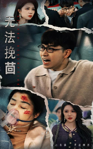 无法挽回（56集） 精彩短剧推荐