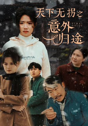天下无拐之意外归途（61集） 这部短剧太好看