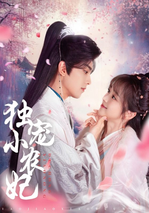 独宠小农妃（63集） 短剧热门分享