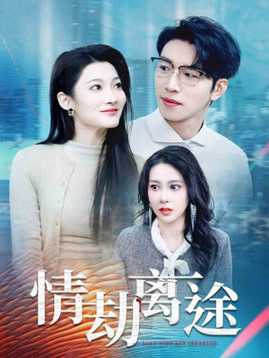 情劫离途（49集） 经典老剧免费看