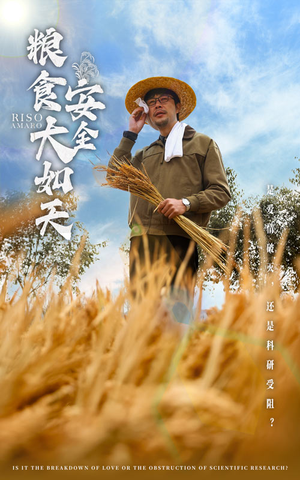 粮食安全大如天（43集） 短剧