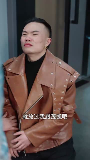 富贵还乡（30集） 真的太好看了