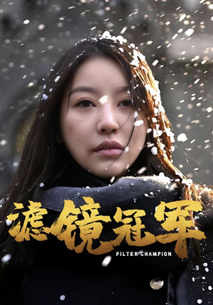 滤镜冠军（32集）80到100集