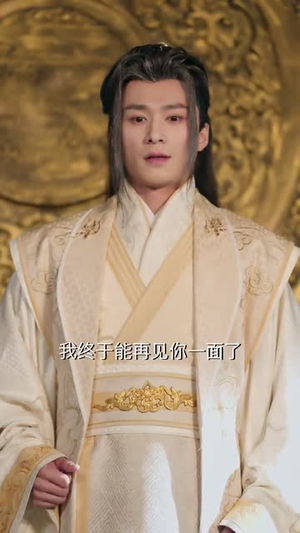错把山河葬相思（60集）全集