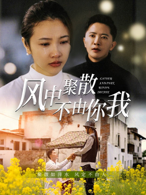 风中聚散不由你我（41集） 短剧