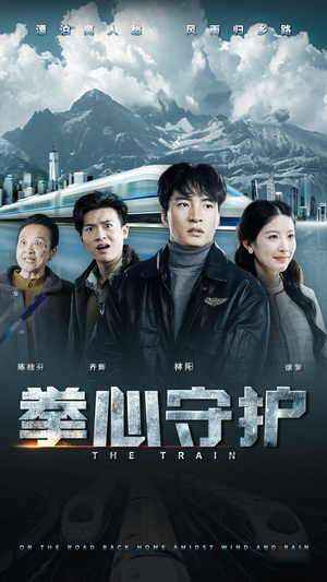 拳心守护（28集） 红果短剧免费看