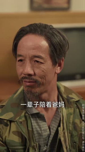 细雨春晖报母恩（30集） 网盘在线观看