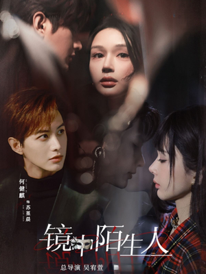 镜中陌生人（54集） 最后一集