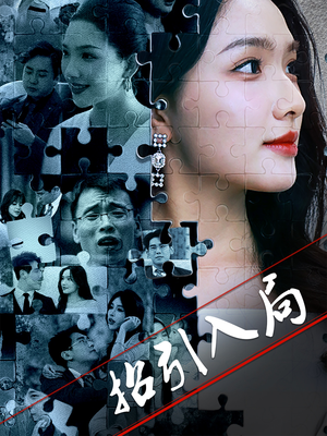 招引入局（60集） 解说