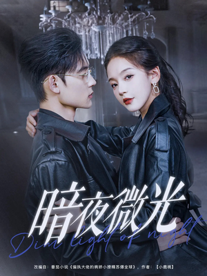 暗夜微光（86集）网络小短剧