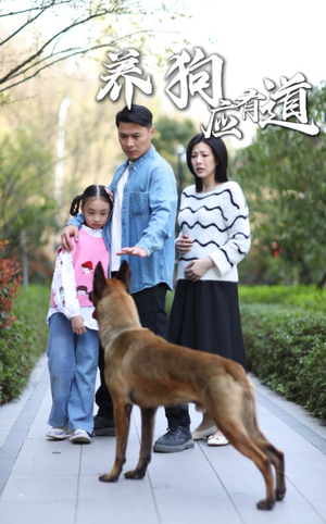 养狗应有道（60集）怎么看全集