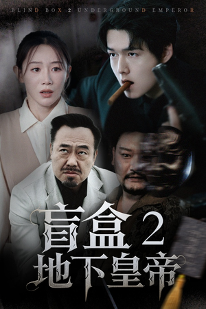 盲盒2地下皇帝（52集）短剧小说在线看
