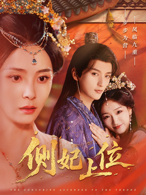 侧妃上位（80集）红果短剧看全集