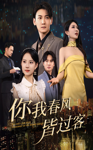 你我春风皆过客（58集）短剧精彩绝伦