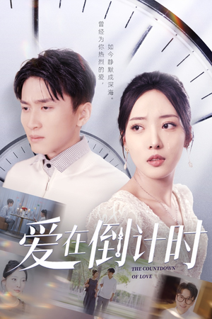 爱在倒计时（30集）在线观看完整版