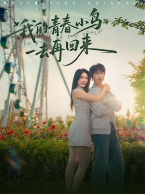 我的青春小鸟一去再回来（95集）战神短剧推荐