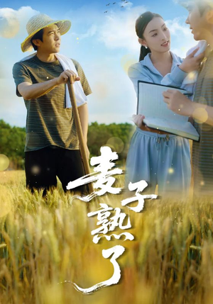 麦子熟了（52集）原创精彩短剧