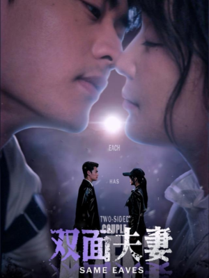 双面夫妻（67集）免费短剧大全