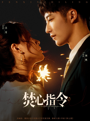 焚心指令（80集）真的太好看了