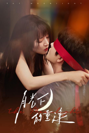 月光下的重逢（54集）在线观看完整版