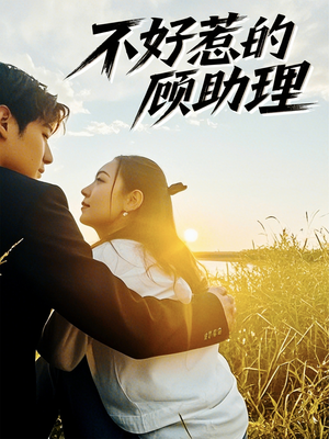 不好惹的顾助理（67集）免费短剧大全