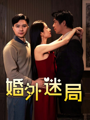 婚外迷局（28集）排行榜前十短剧