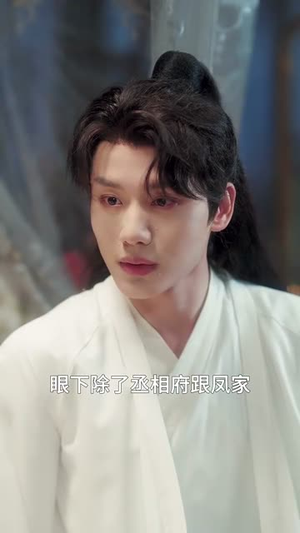 和离后公主她被迫饲养反派影卫（100集）观看软件