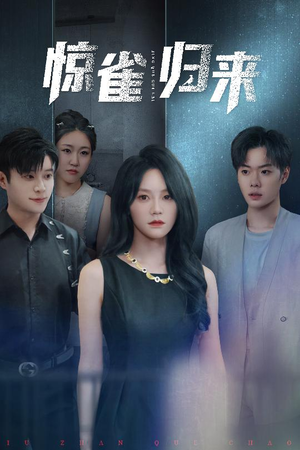 惊雀归来（45集）全集我都看完了