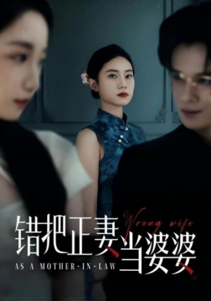 错把正妻当婆婆（46集）短剧免费看全集