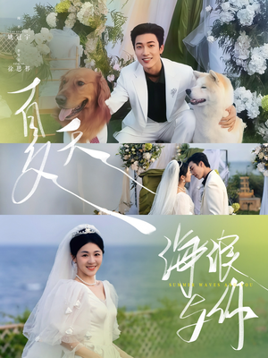 夏天，海浪与你（76集）夸克网盘在线看