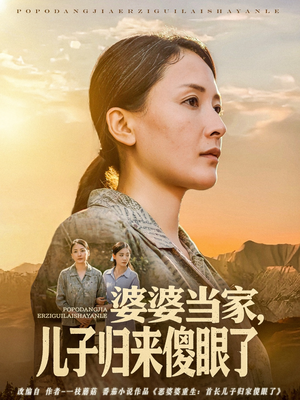 婆婆当家儿子归来傻眼了（80集）短剧中追到爽