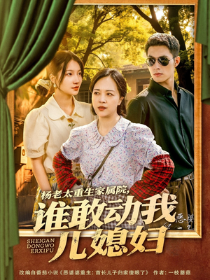 杨老太重生家属院，谁敢动我儿媳妇（85集）短剧排行榜