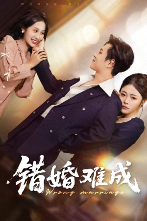 错婚难成（45集）精彩短剧看不停