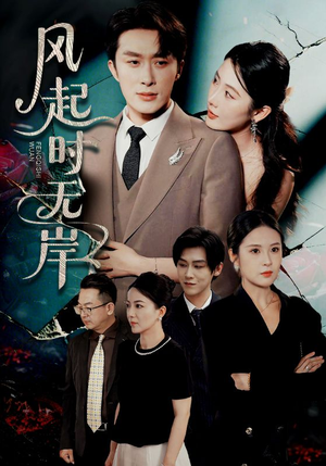 风起时无岸（58集）短剧上头又好看